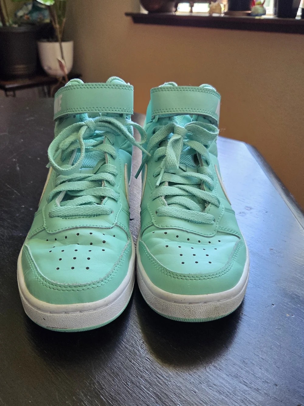 Nike High-Top Sneakers in Mint Green with White Swoosh